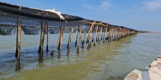 Pagar Laut, Tembok Laut Raksasa dan Tata Kelola Laut