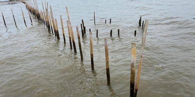 Lama menghilang, Kades Kohod Arsin koordinasi siapkan drakor untuk kasus sertipikat laut?