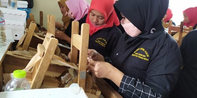 Pemkab Pamekasan Gelar Pelatihan Linting Rokok Bagi Pencari Kerja