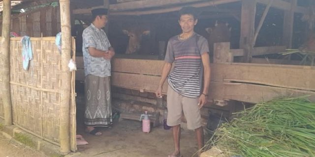 Fraksi Gerindra Sumenep Dorong Pemerintah Daerah, Bantu Peternak Yang Terdampak PMK