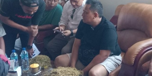 Ketua P4TM Himbau Petani, Tidak Memanen Tembakau Daun Muda Ketua P4TM Himbau Petani, Tidak Memanen Tembakau Daun Muda