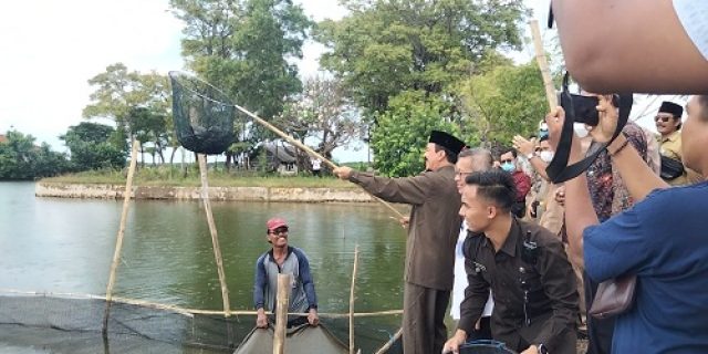 Wabup Pamekasan Panen dan Tebar Benih Ikan Krapu Cantang di Desa Lembung Kecamatan Galis