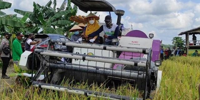 Serikat Petani Usul HPP Gabah Sebesar Rp 5.600 Per Kg, Agar Bulog Bisa Menyerap Gabah Dari Petani Lebih Maksimal