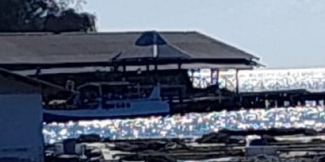 Tak Punya Nyali, Aparat Tidak Berani Menegur Chun Ming Penangkar Ikan Hiu Ilegal di Karimunjawa