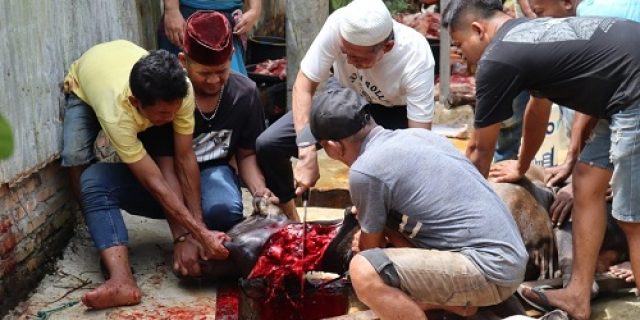 Idul Qurban: Kolaborasi Alkah Dzikir Tarekat Naqsyabandiyah Al-Khalidiyah Baitul se-Sumut & Aceh dan Implementasi Ajaran Sayyidi Syeikh Prof. Dr. H. Kadirun Yahya