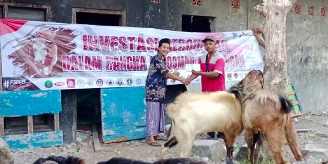 Federasi Serikat Pekerja Pertamina Bersatu Salurkan Hewan Kurban 4 Ekor Sapi Dan 11 Ekor Kambing