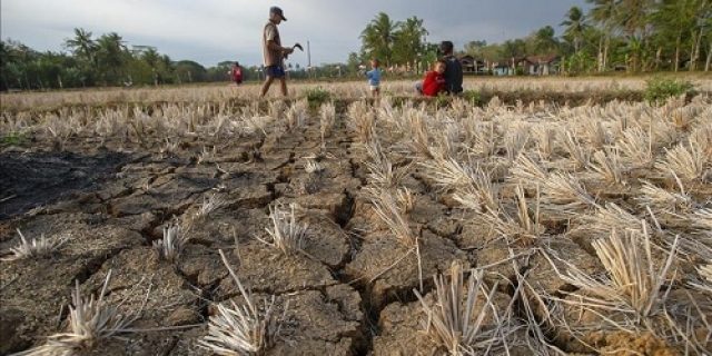 Laporan: Perubahan Iklim Memicu Krisis Kesehatan Global, Meningkatnya Panas dan Kerawanan Pangan