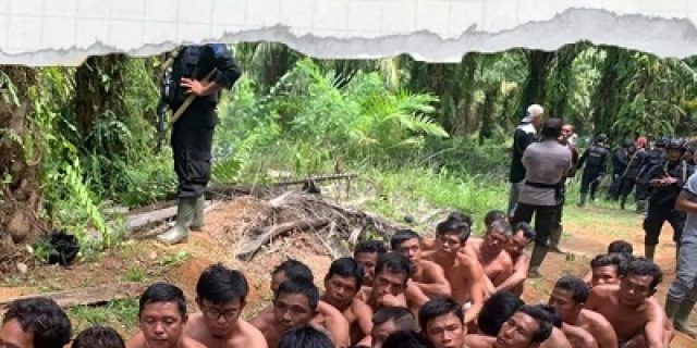 Panen Sawit di Lahan Sengketa, 40 Petani Sawit Bengkulu Ditangkap Polisi