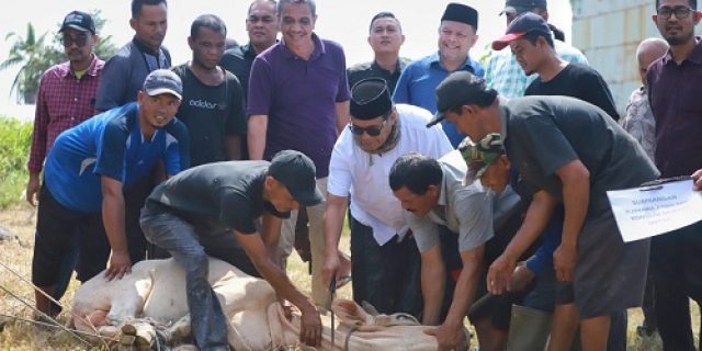 Pemkab Pidie Lestarikan Tradisi Agung Meugang Akbar, Libatkan Dermawan Agar Dhuafa Merasakan Meugang