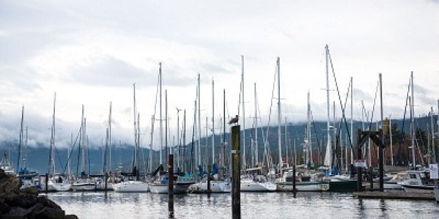 Konsultan perubahan iklim, apa saja bidang garapnya