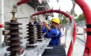 Pembangkit PLN Bisa Menggunakan CPO 100%, CENITS : Syaratnya Engine Harus Disesuaikan
