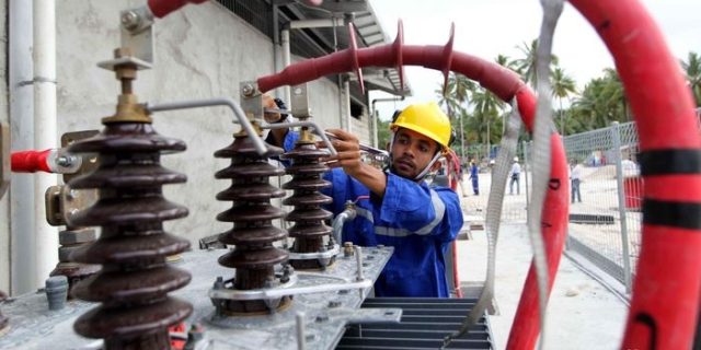 Pembangkit PLN Bisa Menggunakan CPO 100%, CENITS : Syaratnya Engine Harus Disesuaikan