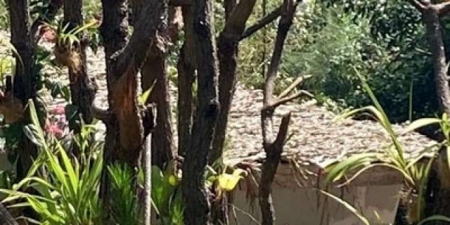 Alat Berat Ekskavator Tinggal 70 Meter Dari Rumah Rocky Gerung