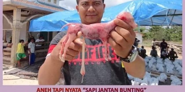 Pratanda Berupa Kejadian Langka