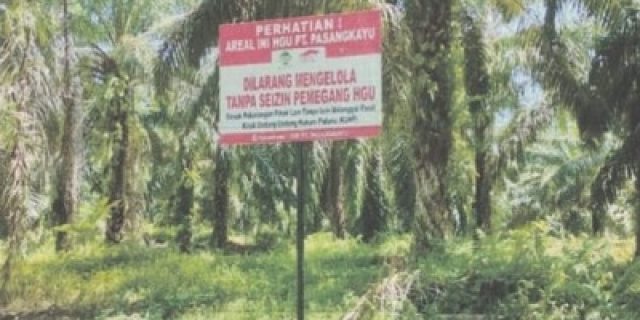 Aktivis HAM Dan Lingkungan Sorot Dugaan PT. Pasangkayu Kelola Kawasan Hutan Lindung, KPH Pasangkayu: Saya Akan Tindak Lanjuti