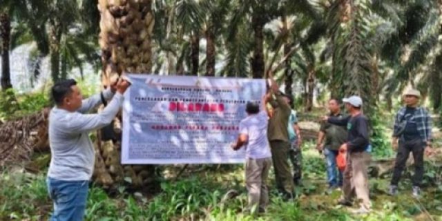 Buka Perkebunan Sawit di Arial Hutan Lindung, PT ALM Sinarmas Group Ketapang Disegel Buka Perkebunan Sawit di Arial Hutan Lindung, PT ALM Sinarmas Group Ketapang Disegel