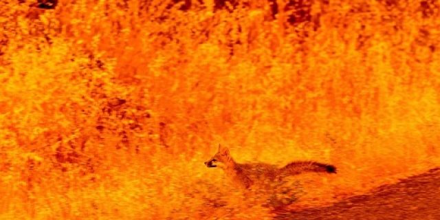 Apakah bencana alam lain terkait dengan perubahan iklim? Ilmuwan: Ya !!
