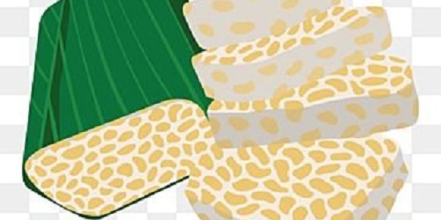 Ahmad Cholis Hamzah: Raja Tempe di Jepang dari Tuban