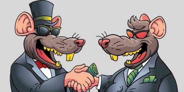 Tikus Raksasa Akan Memangsa Kaum Pribumi