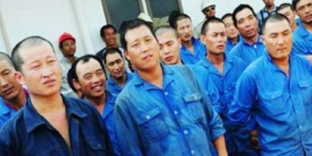 Video Viral : Rakyat Sultra Menolak Keras Kehadiran TKA China