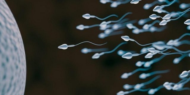 Pertama di Dunia, Pria Umur 20-an Jadi Penerima Transplantasi ‘Pabrik Sperma’