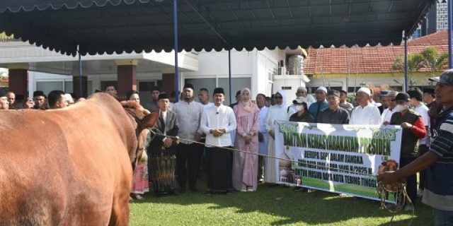 Idul Adha 1446 H di Tebingtinggi Disemarakkan Pawai Takbir Hingga Pemotongan Hewan Qurban