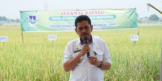 Ikut Panen Padi Bersama, Pj Walikota Tebingtinggi Berharap Dapat Menjaga Kesatbilan Harga Dan Stok Pangan