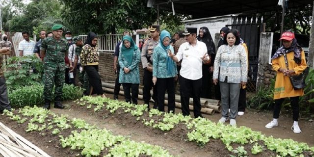 Kendalikan Inflasi Dan Cegah Stunting, Satgas Pangan Kota Tebingtinggi Gelar Tanaman Cepat Panen Dengan Elisitor Biosaka
