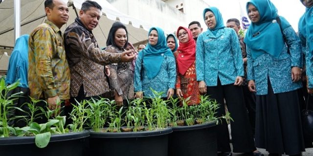 Pj Walikota Tebingtinggi Dampingi Pj TP PKK Propinsi Sumut Lakukan Kunjungan Posyandu Dan Gerak Tanam Cabai