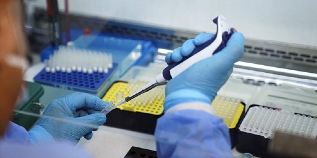 WHO : Virus Mpox bisa dihentikan, dikendalikan WHO : Virus Mpox bisa dihentikan, dikendalikan