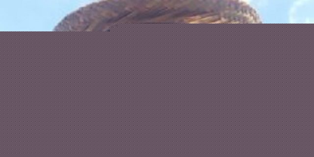 Organisasi massa relawan kemanusiaan Wanarescue mendukung pasangan FREN nomor urut 2