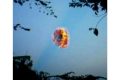 Misteri : Tabir di Balik Penampakan Pulung Gantung Di Gunungkidul