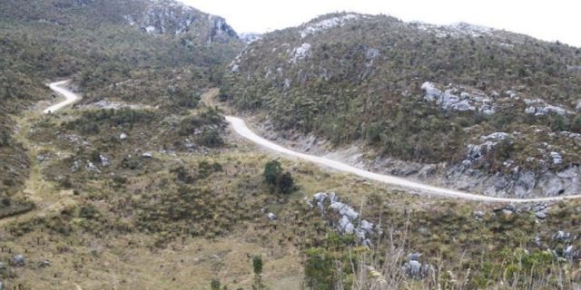 Pemberontak Papua Bunuh 31 Orang Pekerja Proyek Jembatan di Trans Papua
