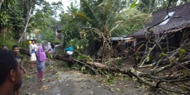Puting Beliung Terjang Sejumlah Pedesaan Dilereng Gunung Lawu