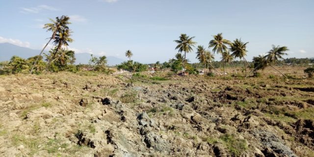 Gempa Palu, Satu Kampung Hilang Tertimbun Tanah