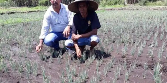 Mahasiswa NTB Desak Pemerintah Tetapkan Harga Pokok Bawang Merah
