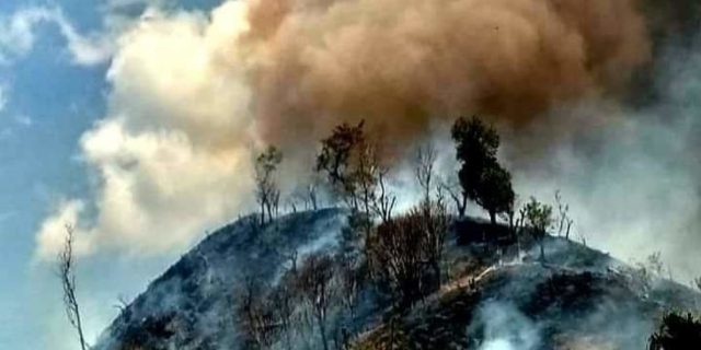 Nitizen Antusias Tandatangani Petisi “Selamatkan Hutan NTB”