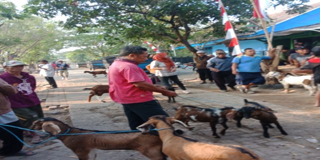 Pasar Kambing