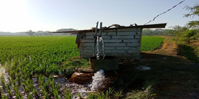 Kekeringan di Ngawi Meluas, Sumur Bor Sawah Matikan Sumur Warga (2)