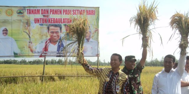 Impor Beras Membuat Petani Panas