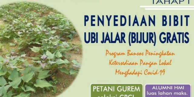 MW KAHMI dan KAHMIPreneur BaBel lakukan pemberdayaan petani kecil