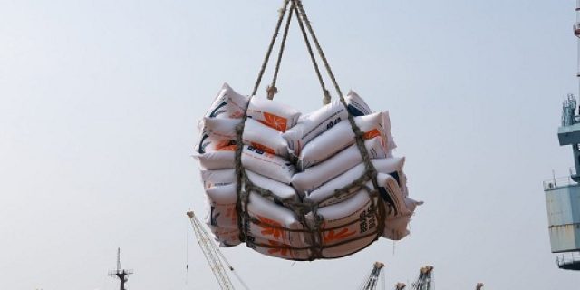 Impor Beras 500 Ribu Ton Batal, Dirut BULOG: Karena daya bongkar pelabuhan kita gak mampu