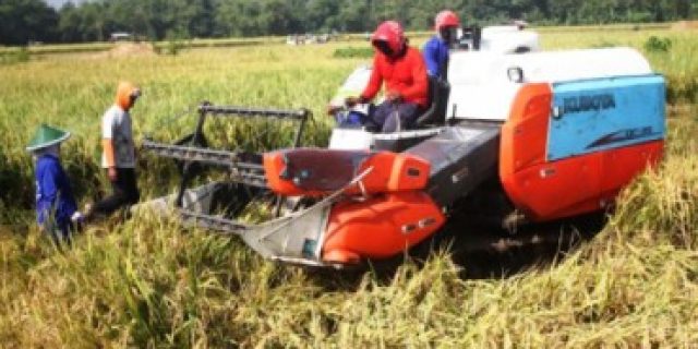Awal panen padi di Ngawi, harga masih baik tapi petani keluhkan tingginya harga saprotan
