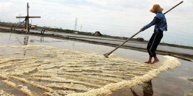 Polemik impor garam, pemerintah harus jelas garam konsumsi atau garam industri?