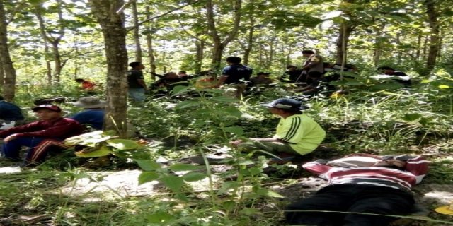 Seorang Kakek Raib Saat Mencari Pakan Ternak di Hutan Yogyakarta