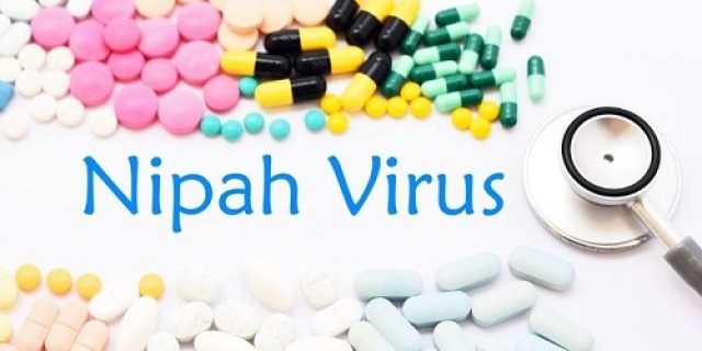 Mengenal Virus Nipah, Ancaman Wabah Baru di Asia