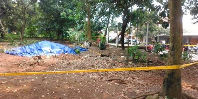 Dahlan Iskan : Radiasi Serpong